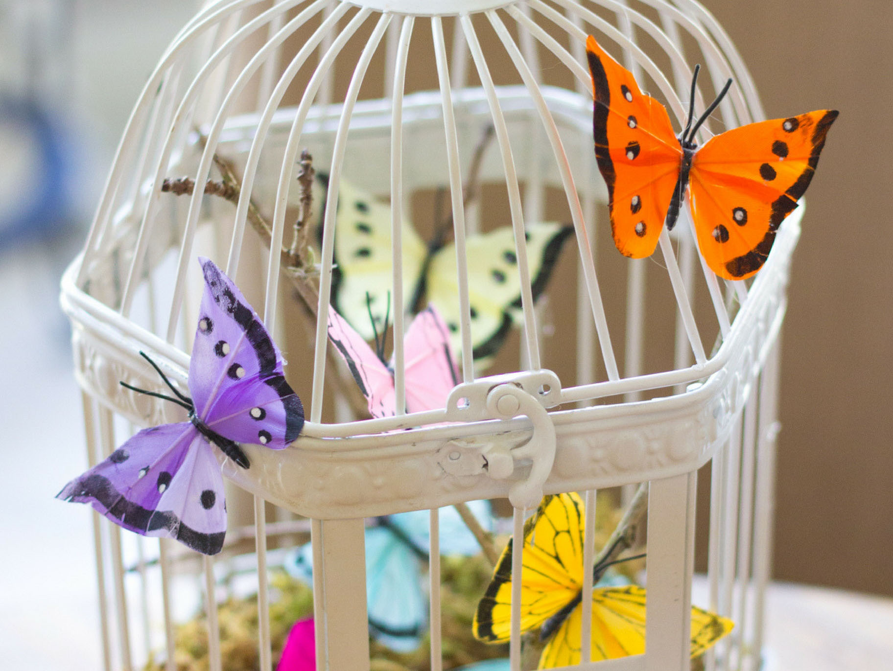Butterfly Decorated Bird Cage