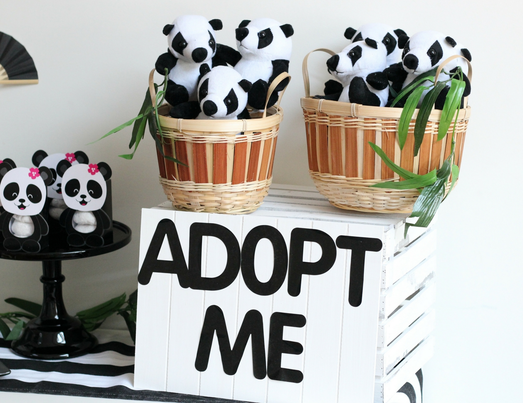 Panda Party Adoption Center Fun365