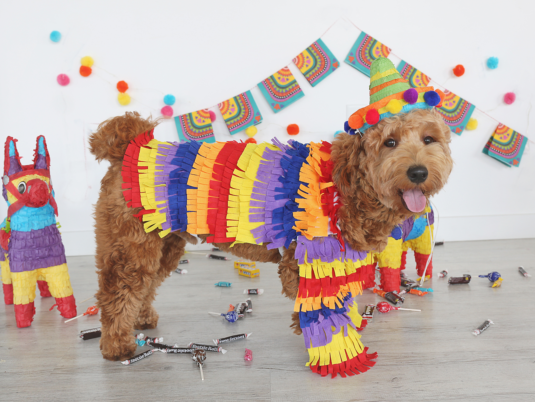 DIY Dog Costume | Fun365