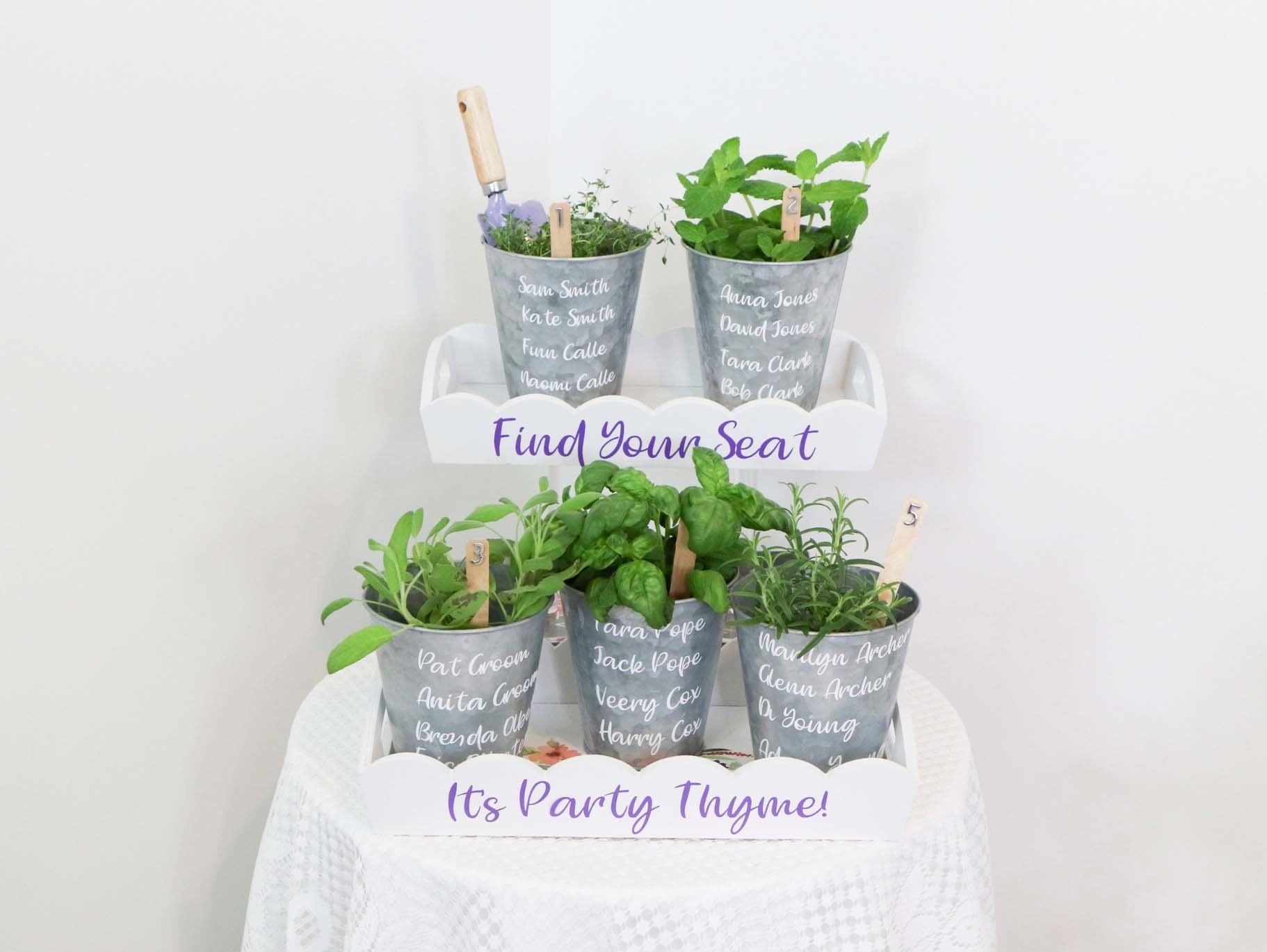 Live Herb Seating Chart Display | Fun365