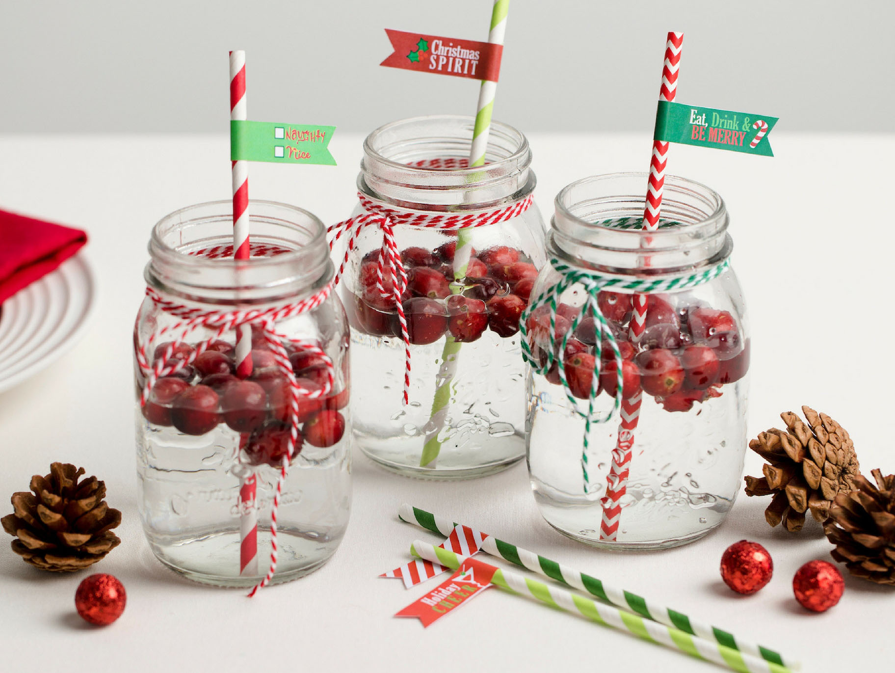 Free Printable Holiday Straw Tags