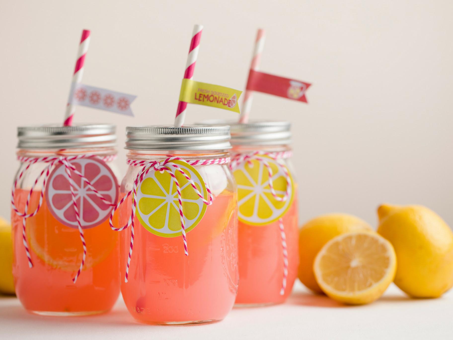 Free Printable Lemonade Tags 