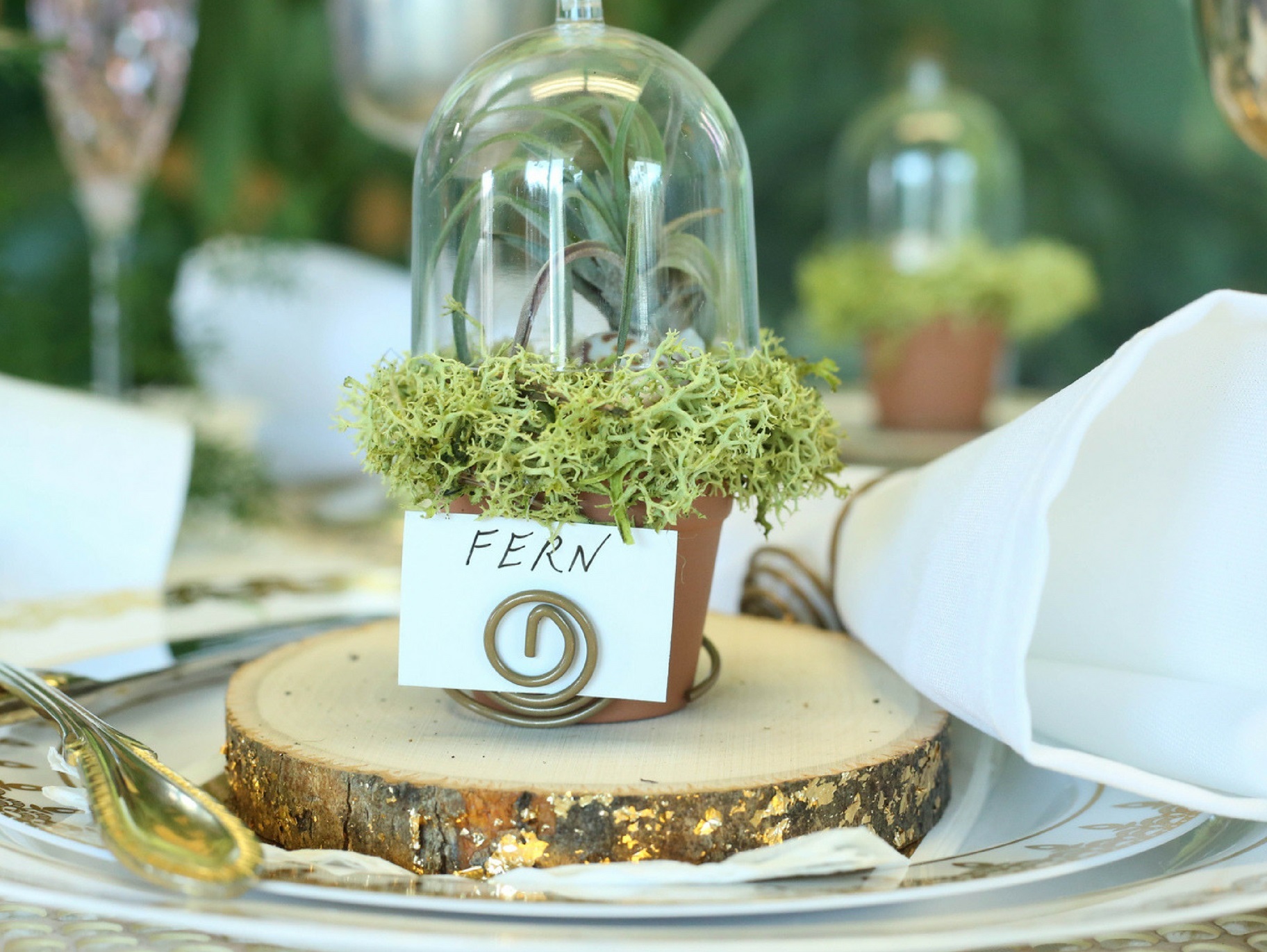 Elegant Plant Terrarium Place Card