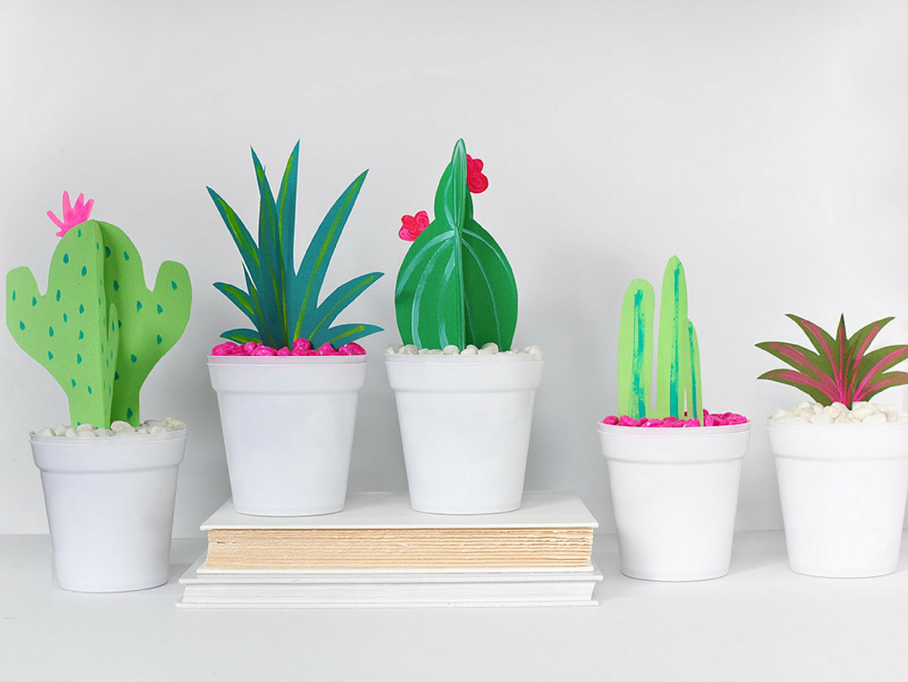 How To Make Paper Cactus Flower / New segments of the paper spine .