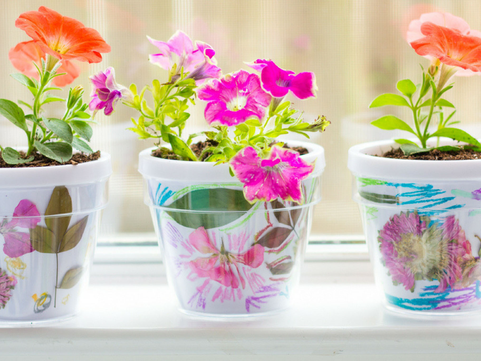 Pressed Foliage Flower Pots
