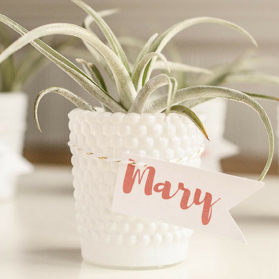 Air Plant Wedding Place Cards