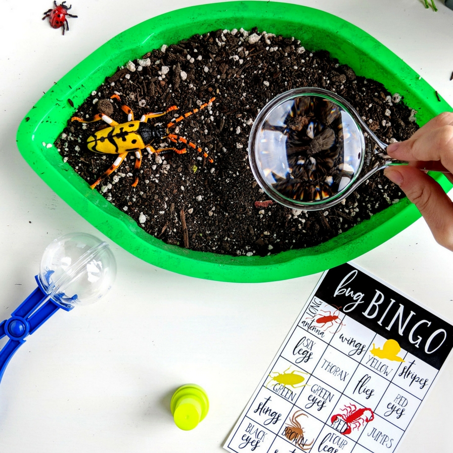 Bug Dig Bingo Activity