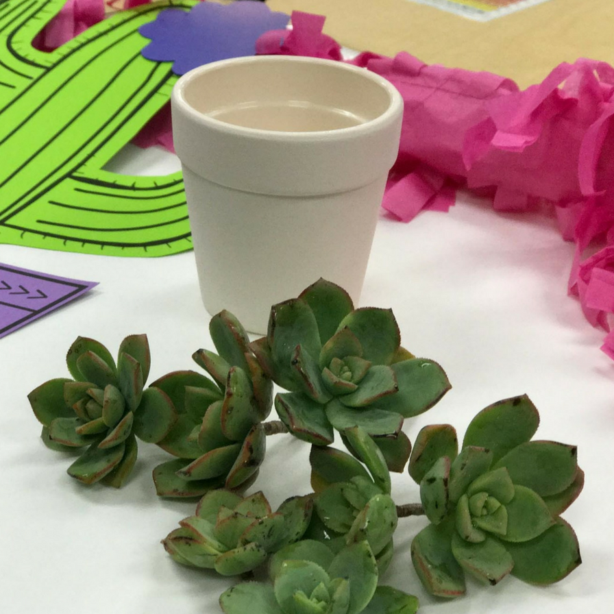 Classroom Succulent Craft to Promote Growth Mindset