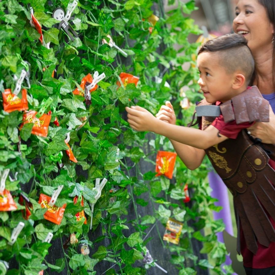 Make Your Own DIY Candy Hedge