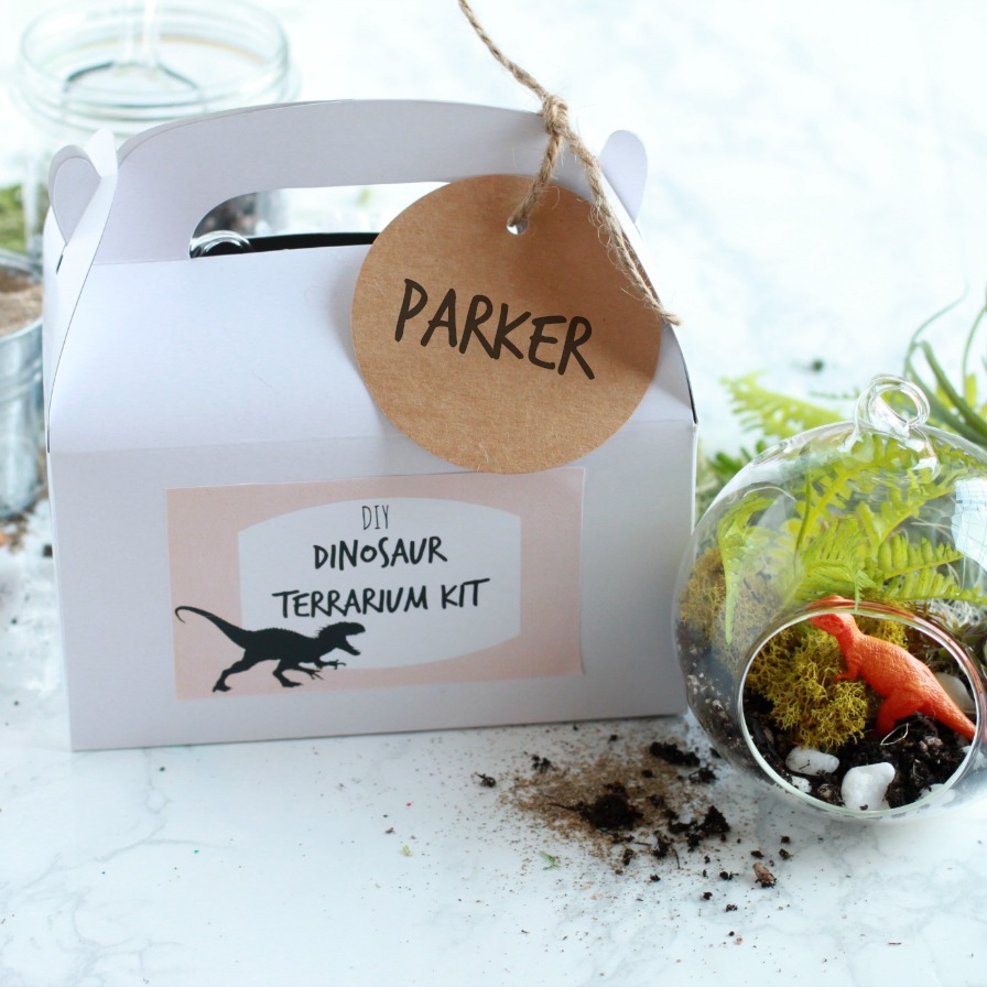 DIY Dinosaur Terrarium Kits