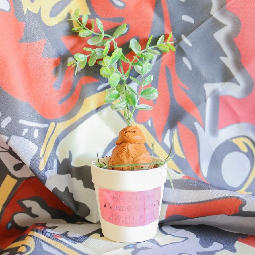 DIY Mandrake Potting Craft
