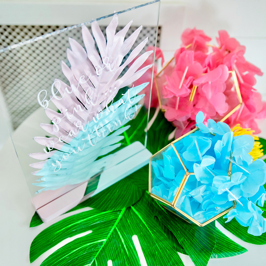 Tropical Gender Reveal Activity