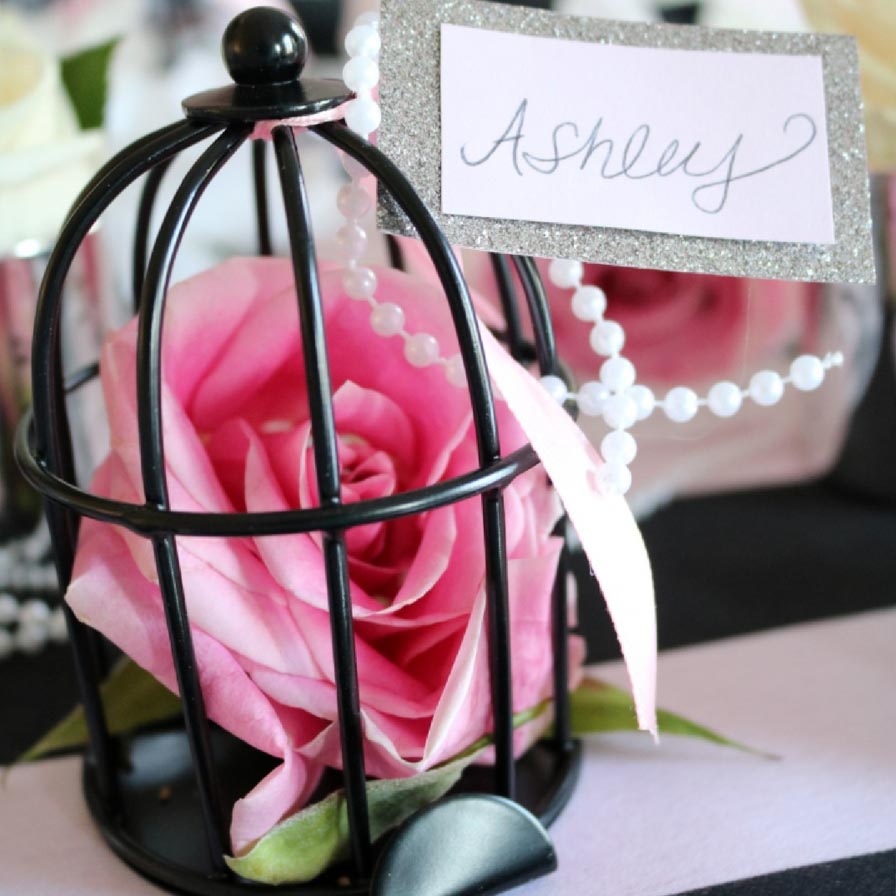 mini bird cage