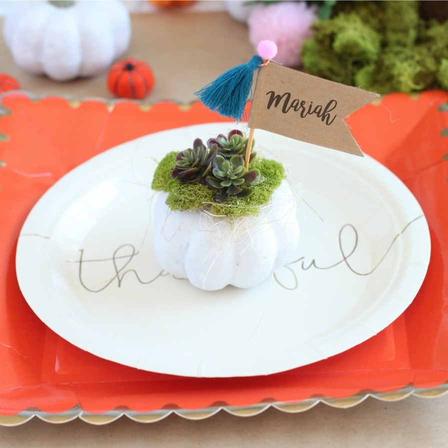 Pumpkin and Succulent Place Cards