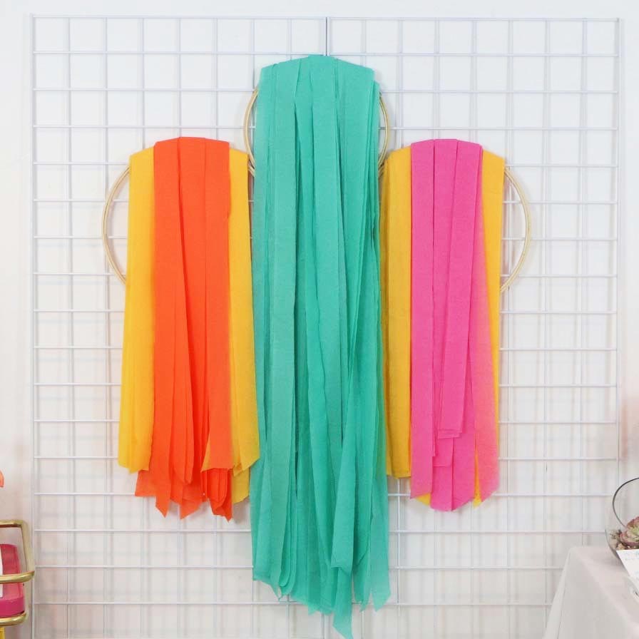 Hoop & Crepe Paper Backdrop