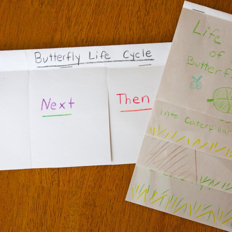 Make Your Own Life Cycle Flip Books