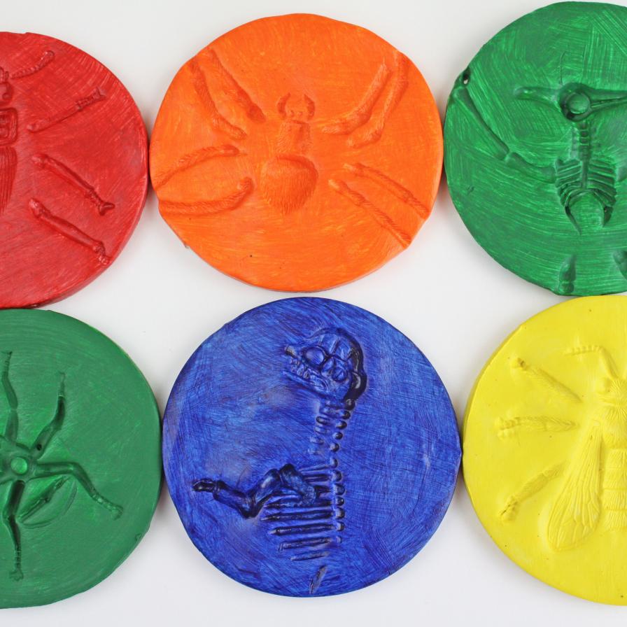 How to Make Clay Fossils