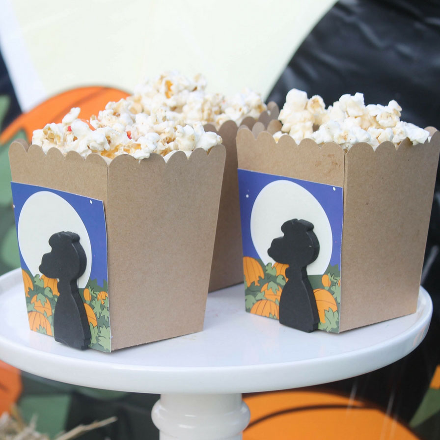 It's the Great Pumpkin Charlie Brown DIY Popcorn Bar