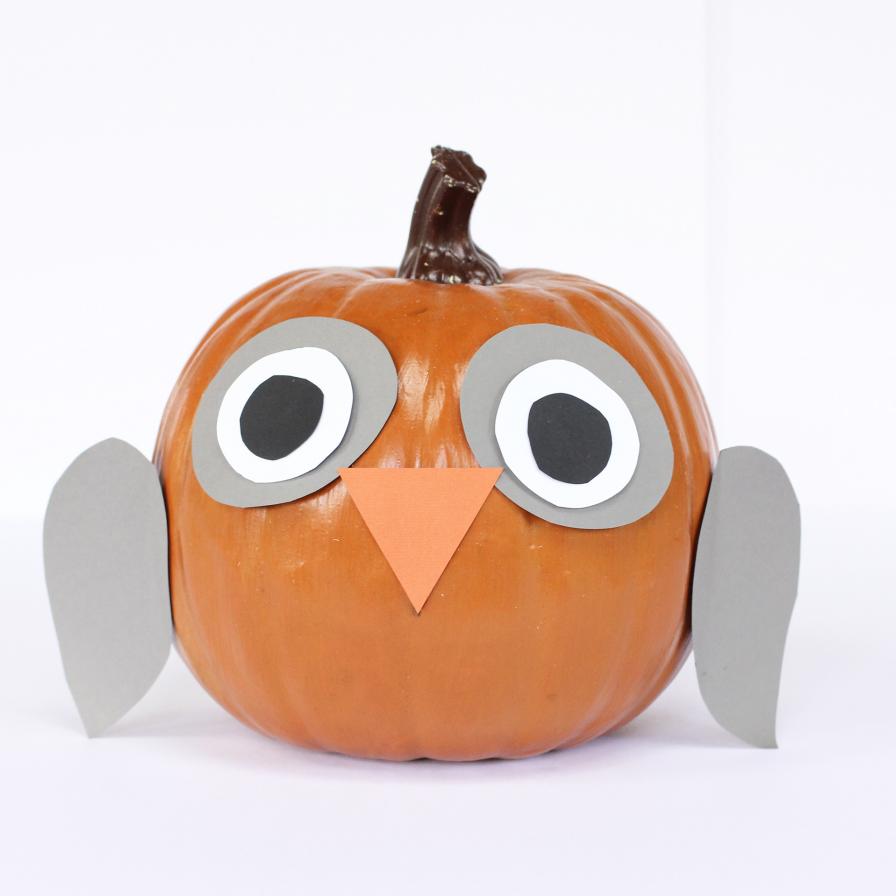 DIY Animal Pumpkin Owl | Fun365