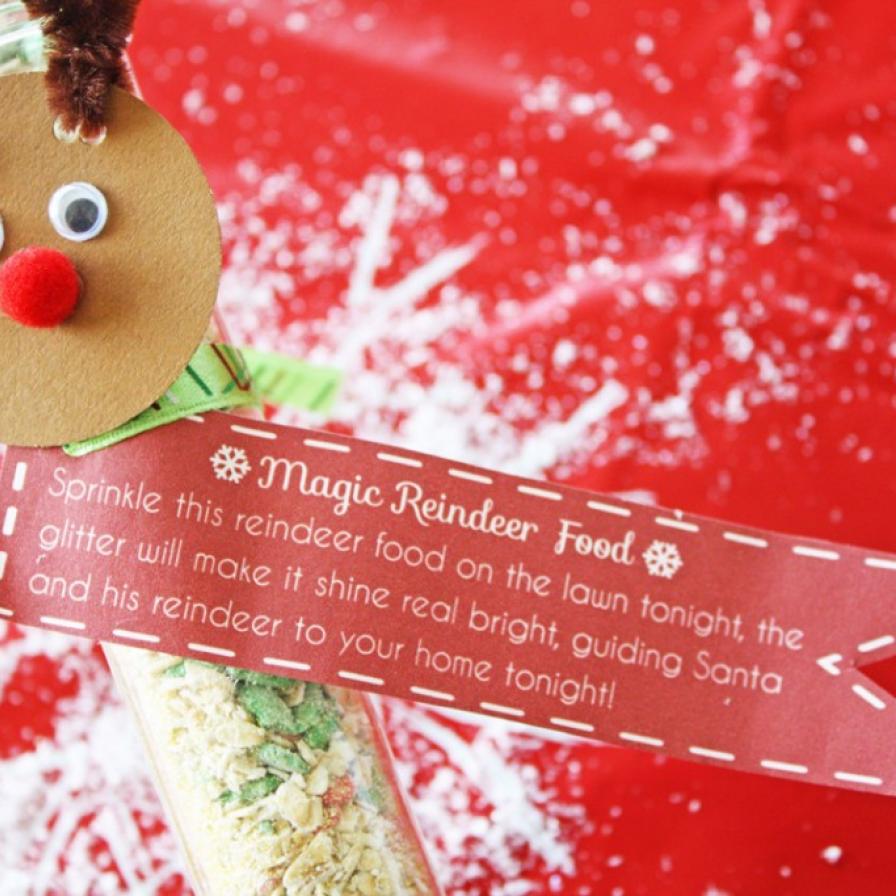 Shani ☀️ Crafts, Recipes, Printables, Travel & Lifestyle on Instagram:  Make a little magic with reindeer dust! This is one of the easiest  Christmas crafts to put together. It's perfect for younger