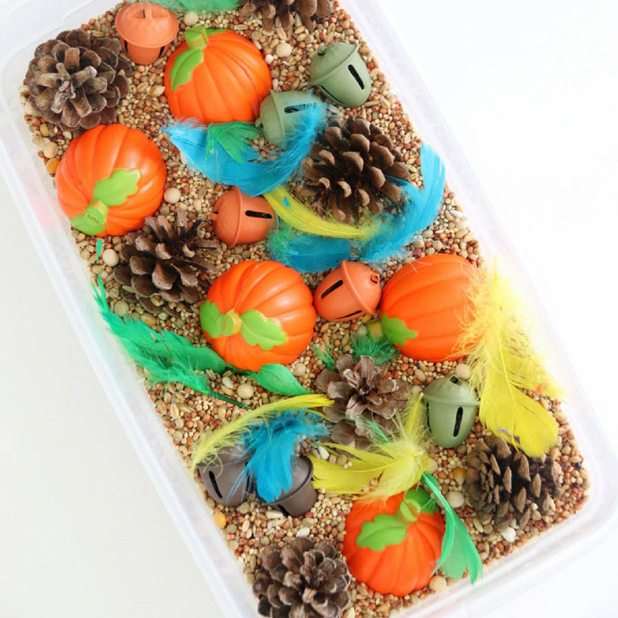 Thanksgiving and Fall Sensory Bin