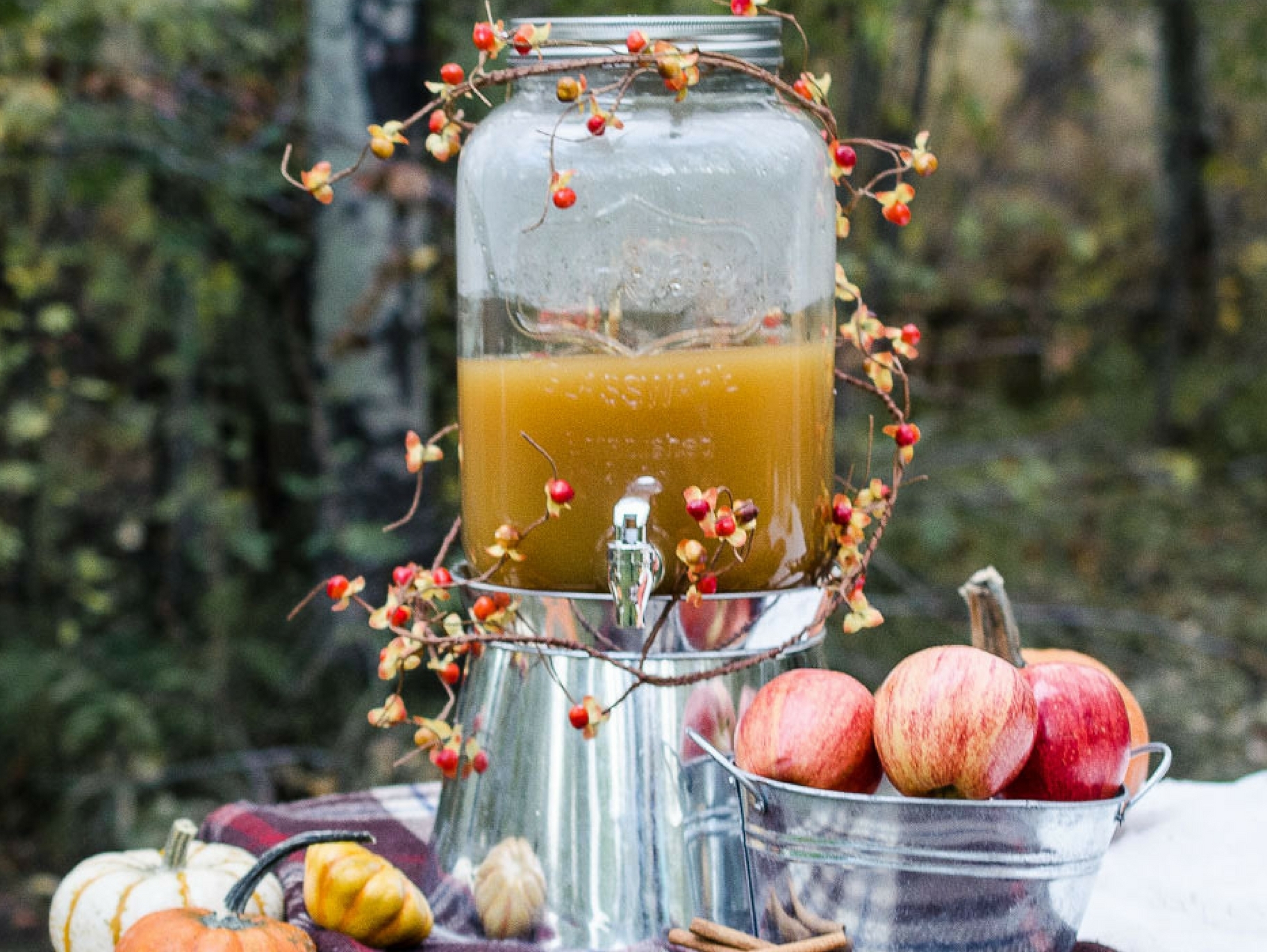 Orange and Ginger Apple Cider