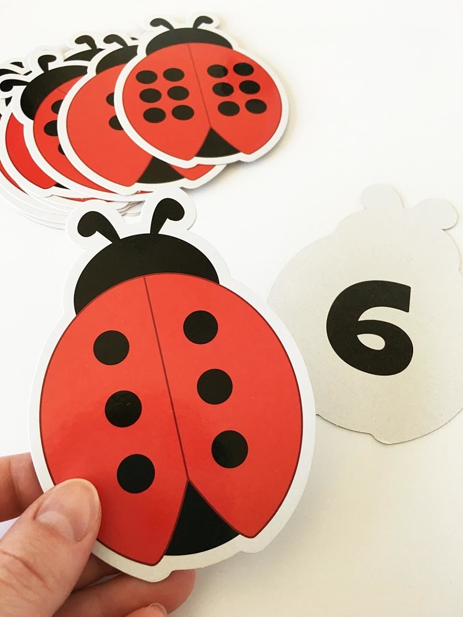 DreamBox Math - THIRD GRADE LADYBUGS