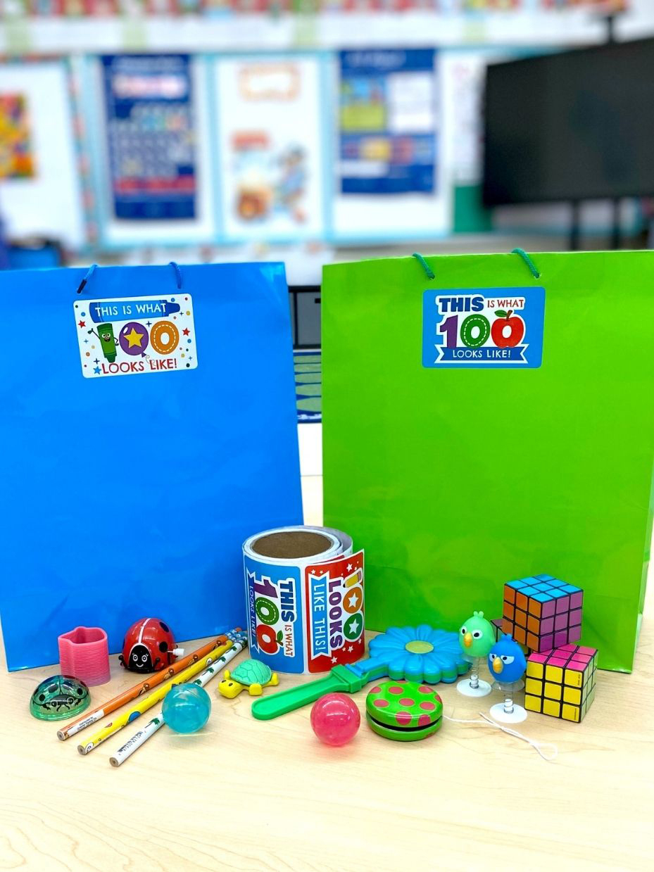 This Is What 100 Looks Like Activity