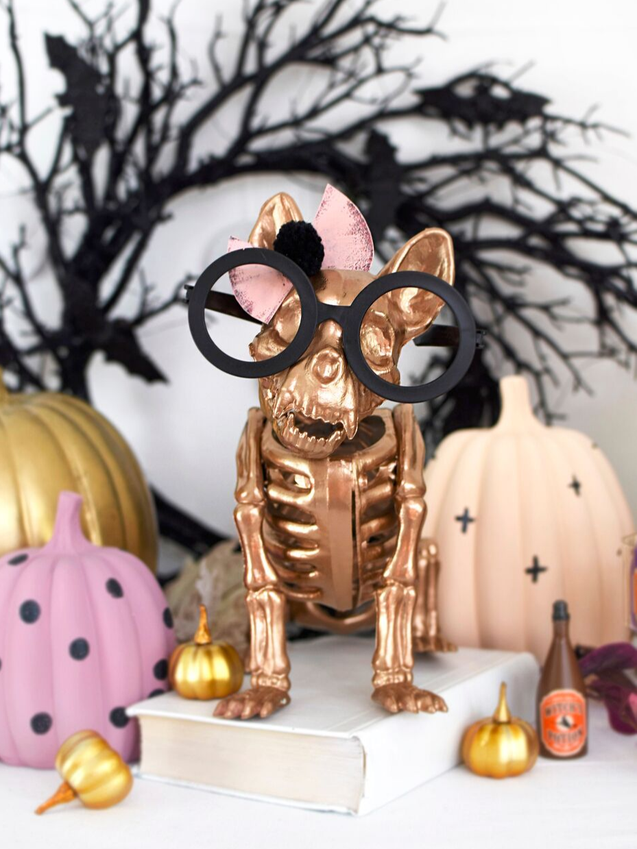 75+ Frighteningly Fun Skeleton Decoration Ideas | Fun365