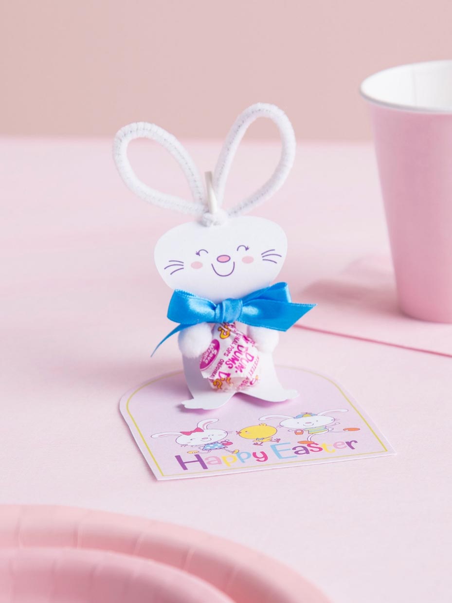 Easter Bunny Lollipop Party Favors