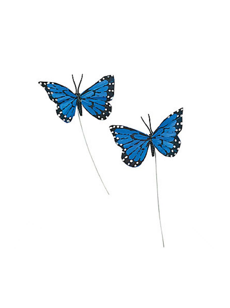 Blue Feather Butterflies