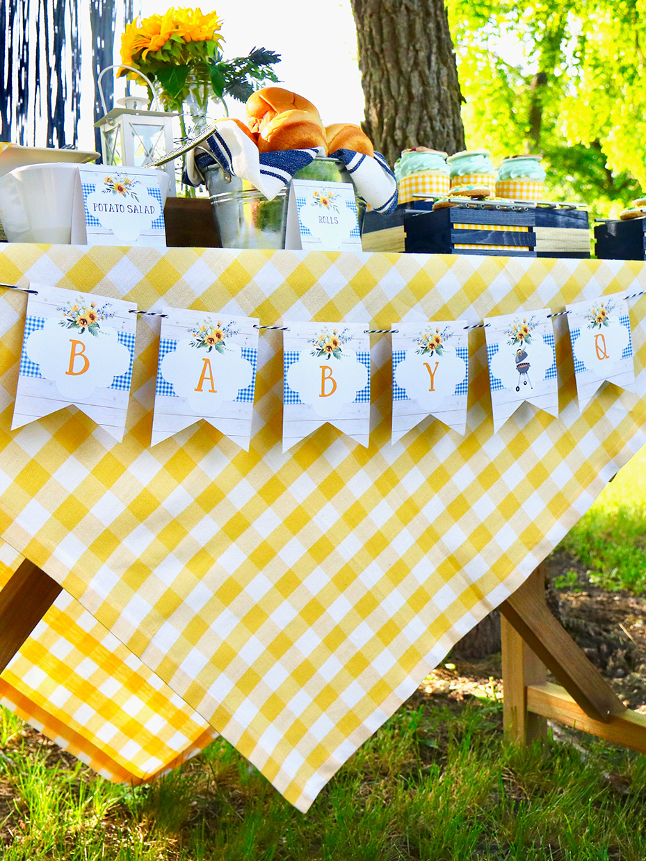 Baby-Q Baby Shower Banner
