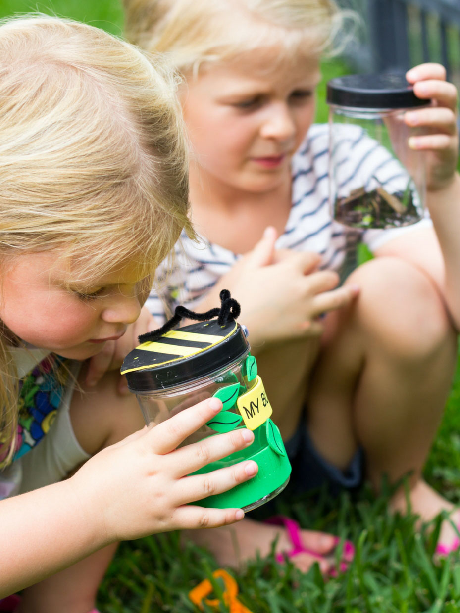 Go On A Bug Hunt