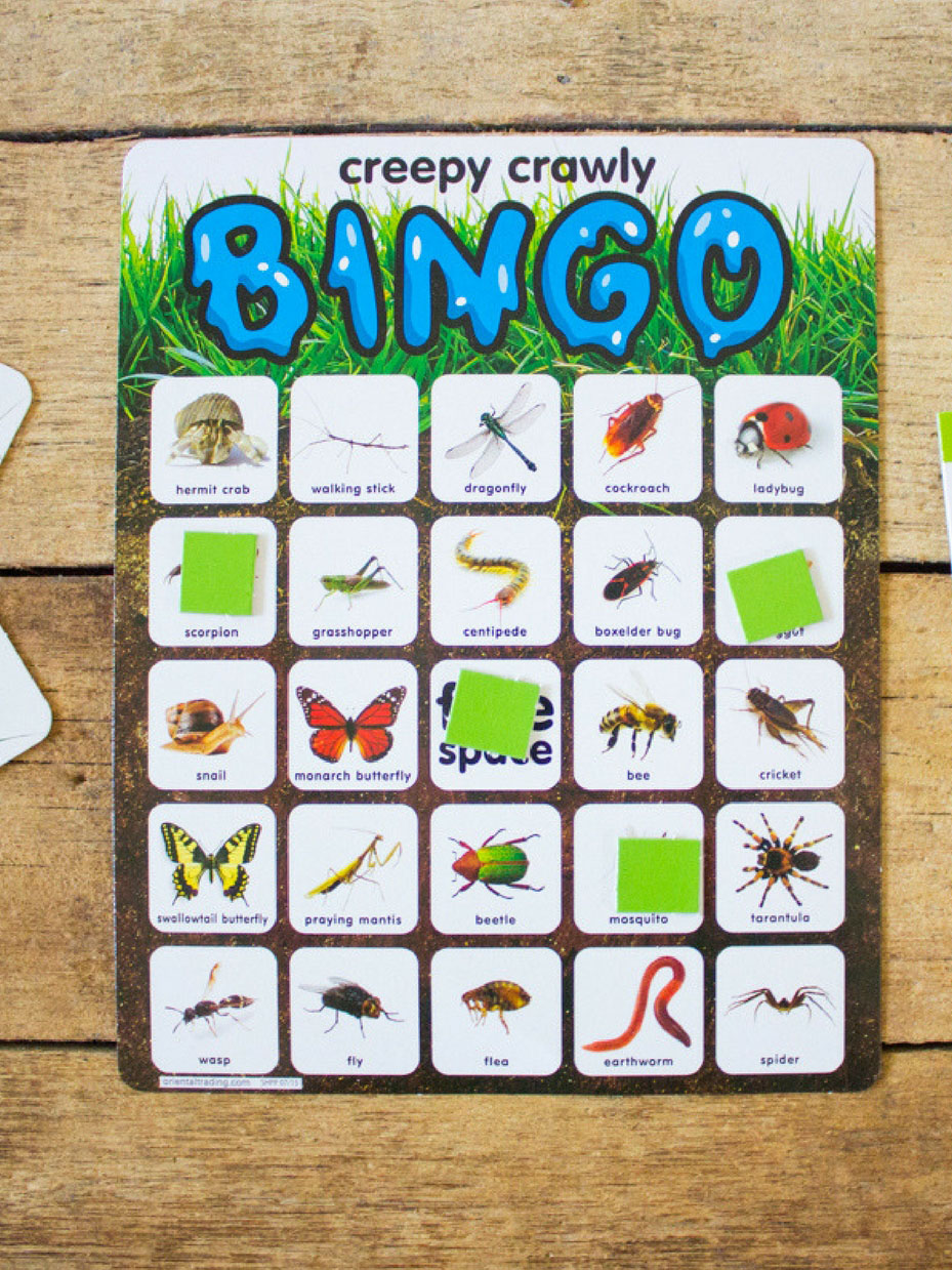 Play Creepy Crawly Bingo