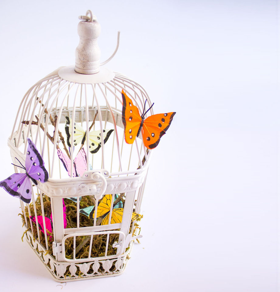 Butterfly Decorated Bird Cage