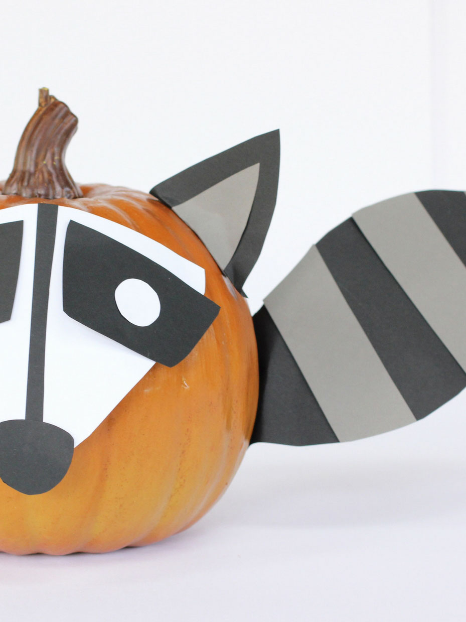 Raccoon Halloween Pumpkin