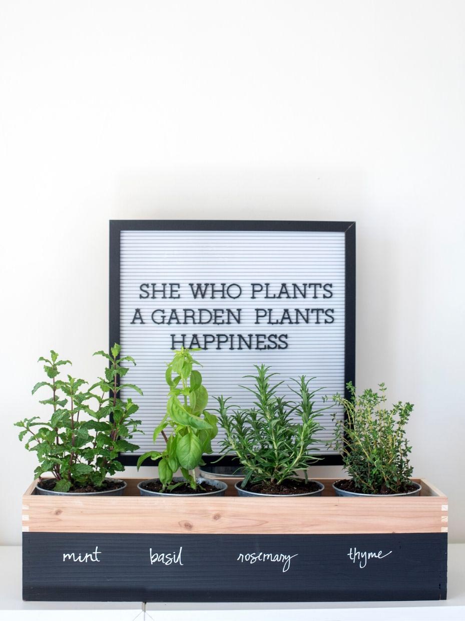 DIY Herb Garden Planter