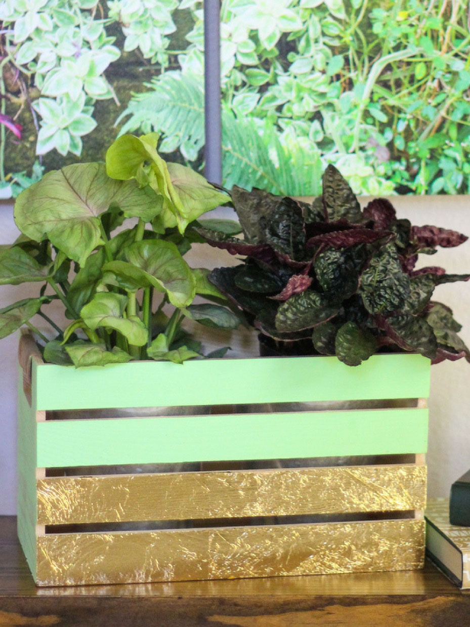 Modern DIY Wood Crate Plant Holder