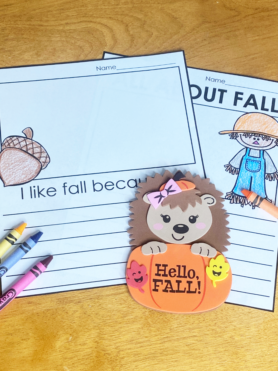 Hedgehog Magnet Craft