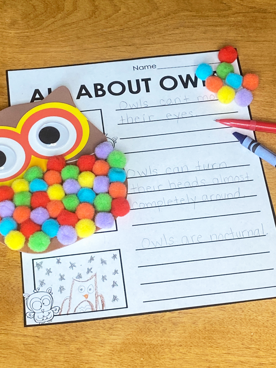 Pom-Pom Owl Craft