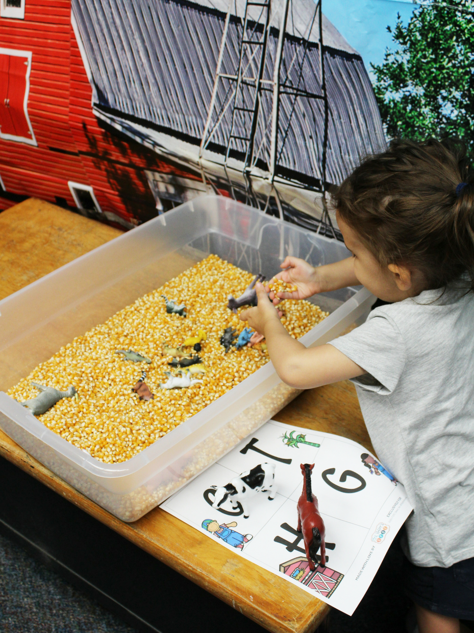 6 Farm Sensory Table Ideas | Fun365