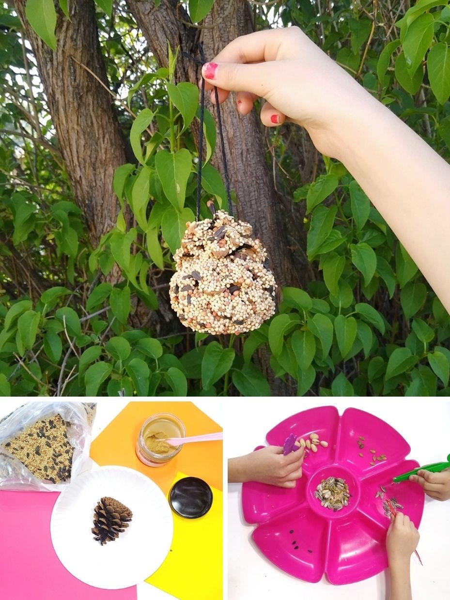 Birdseed