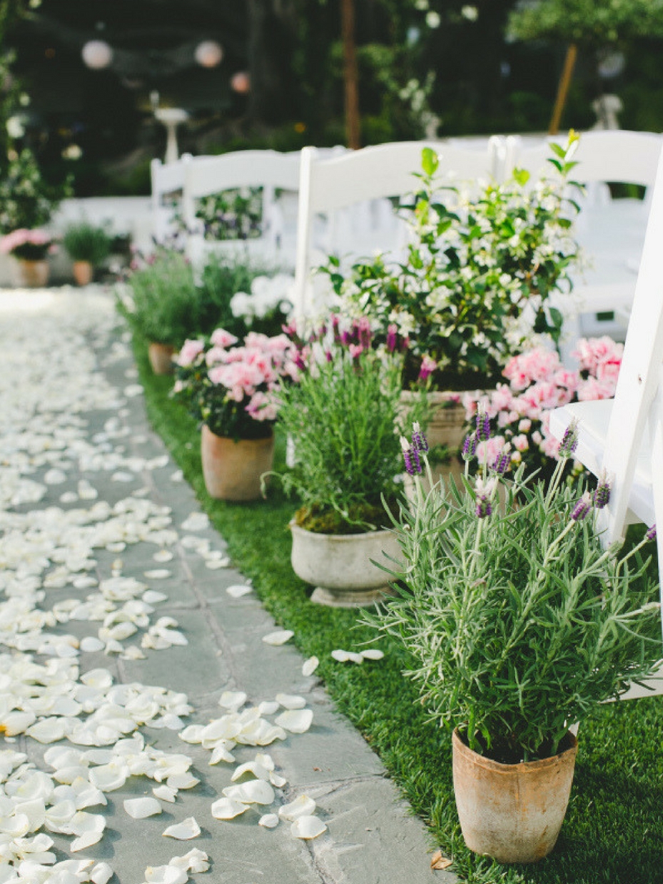 Containers as Decor