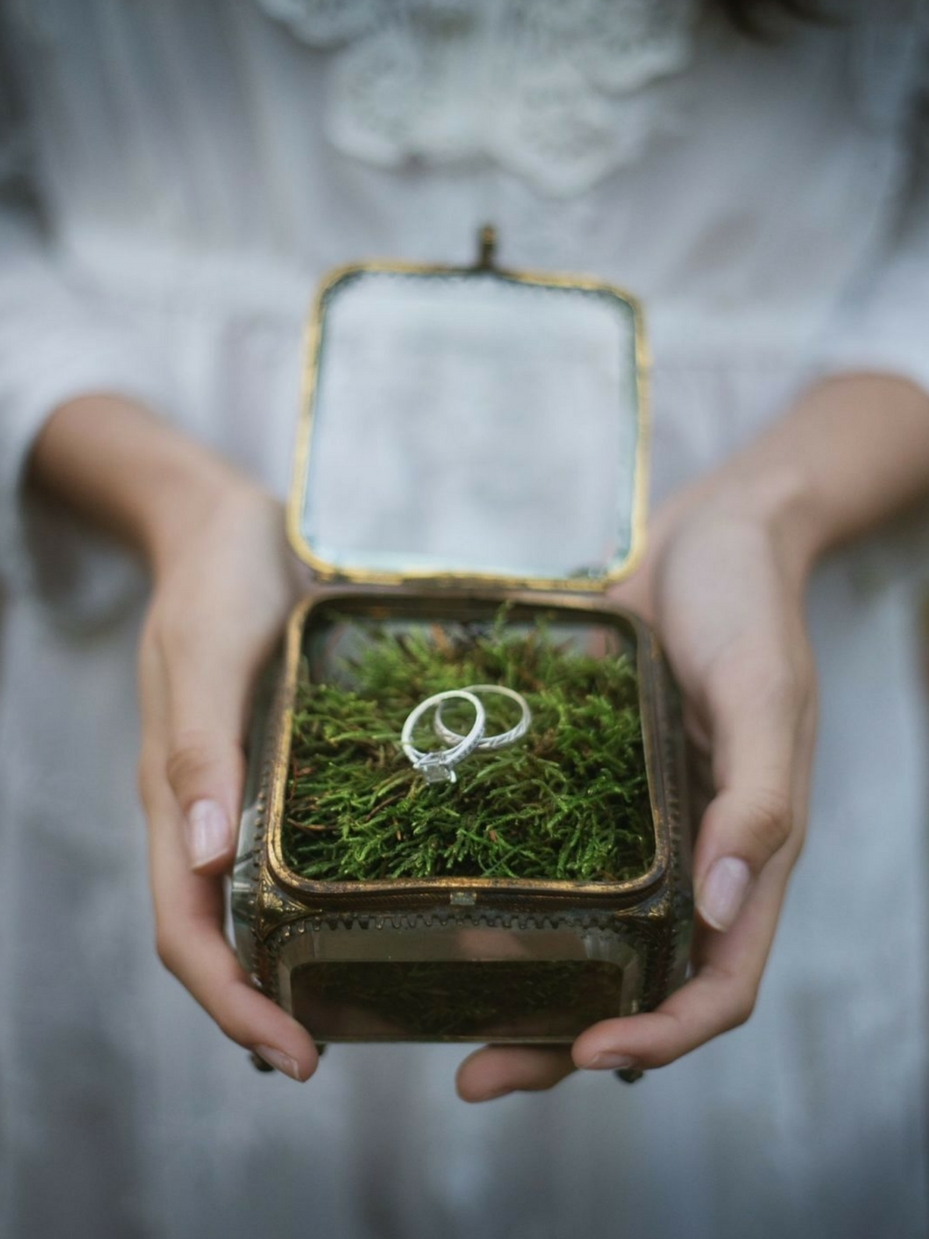 Moss Accents