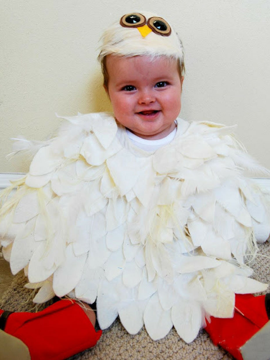 No-Sew Owl Costume