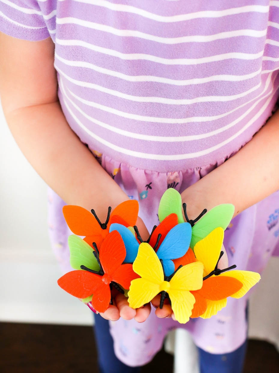 Butterfly Hide-and-Seek Game