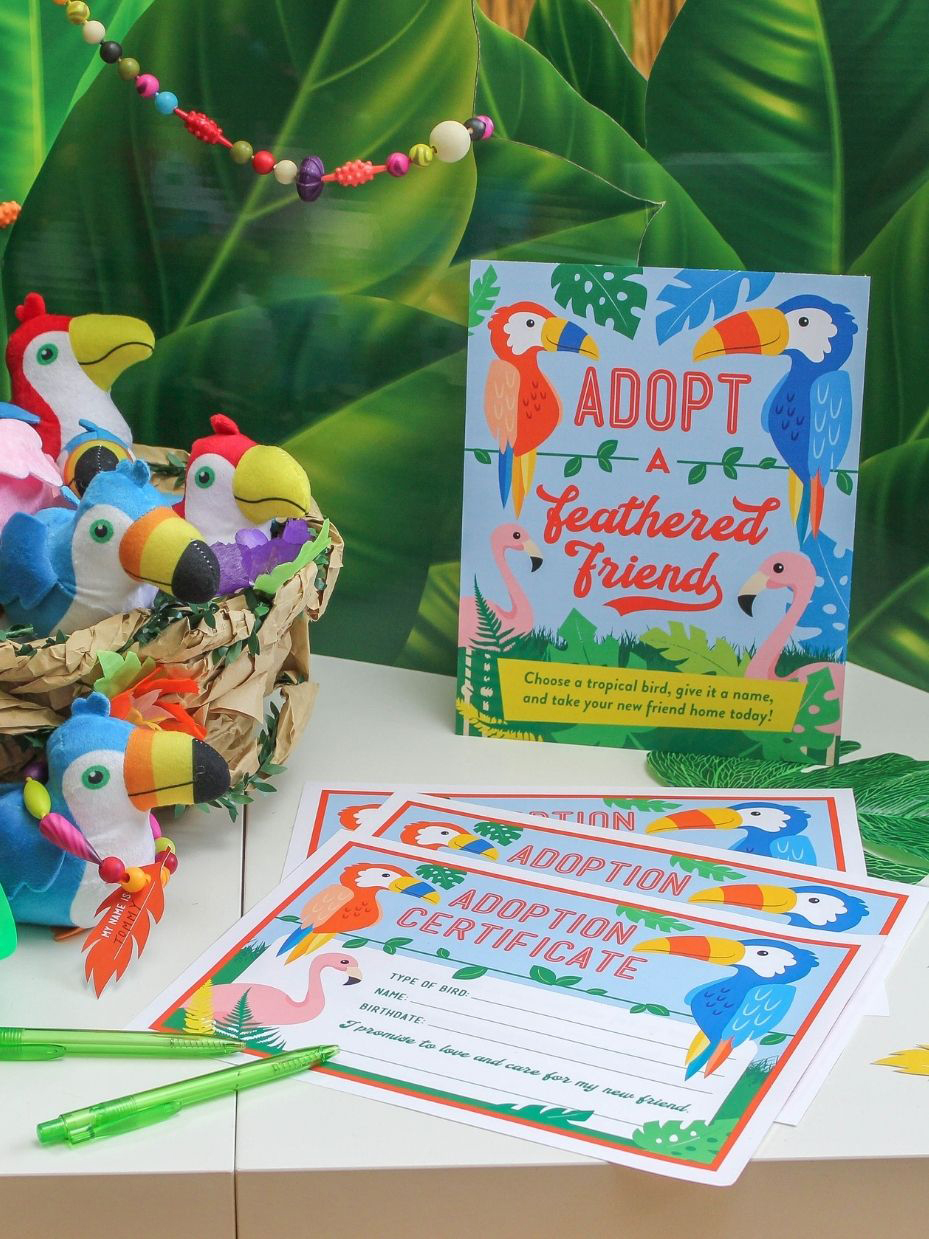 Rainforest Bird Adoption Center