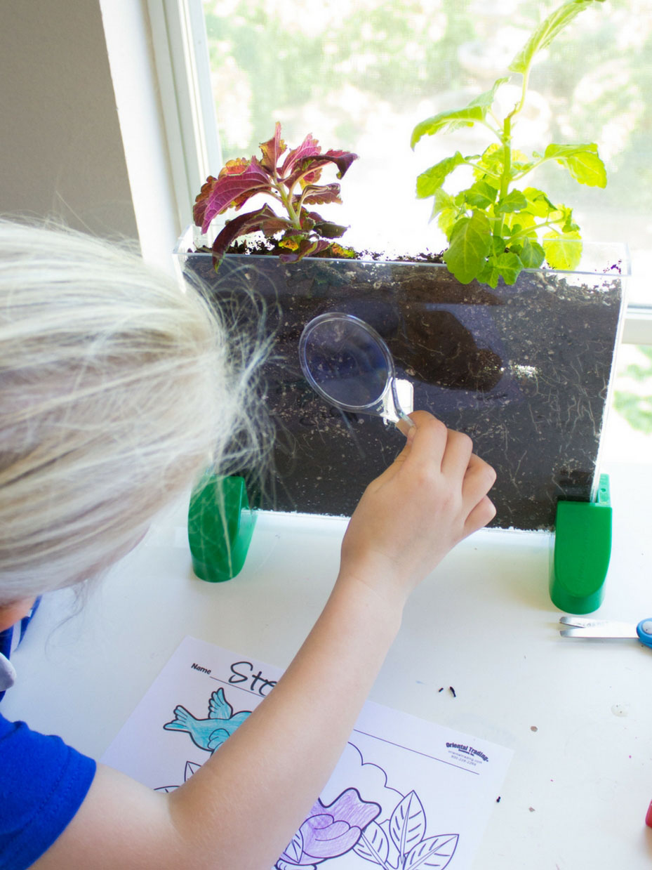 Nature Explorers Week