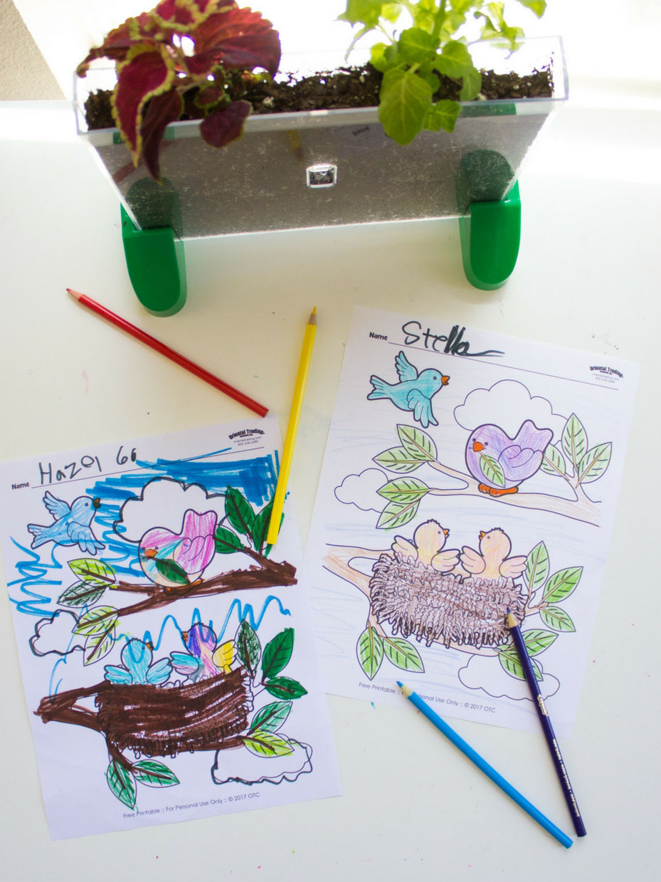 NATURE Arts and Crafts KIDS Nature Art Printables Nature Art