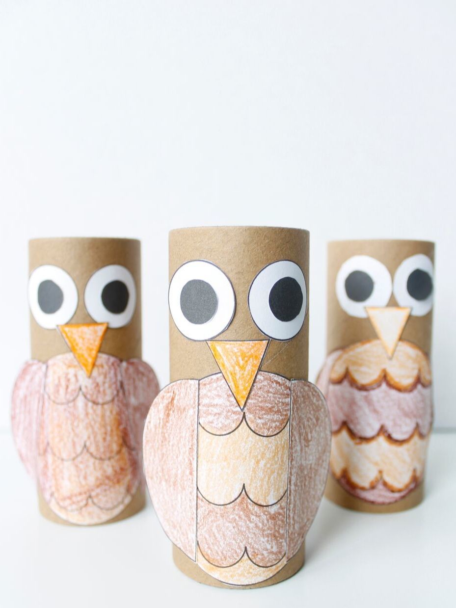 Owl Craft Roll